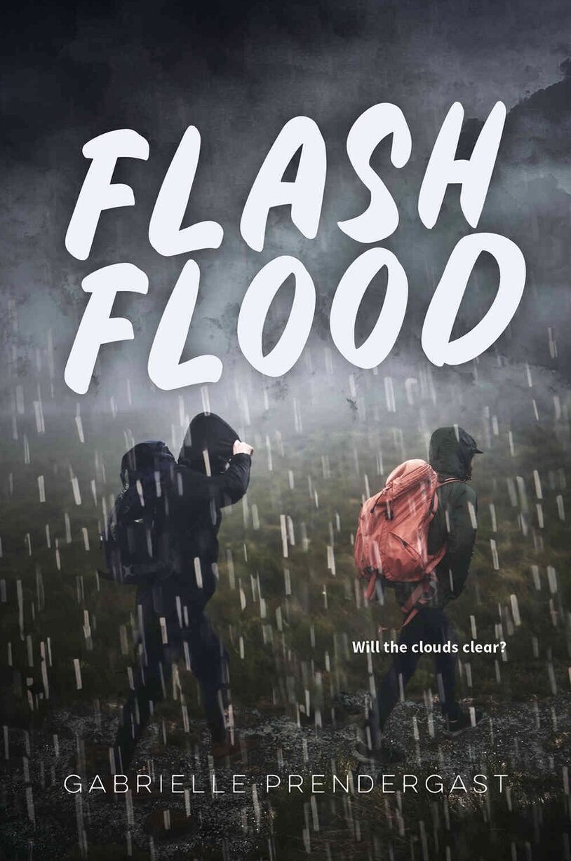 Cover image for Flash Flood Workbook
